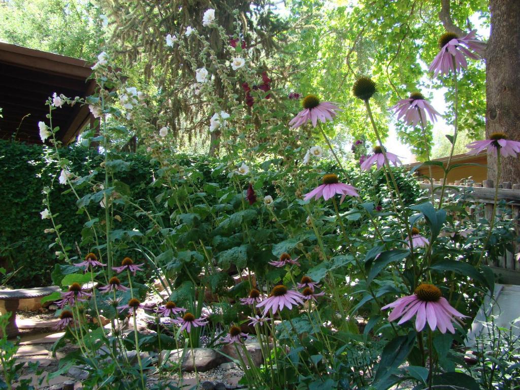 The Historic Taos Inn Luaran gambar